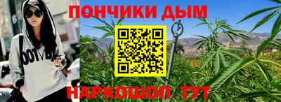 крисы Гудермес