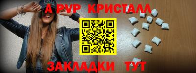 крисы Гудермес