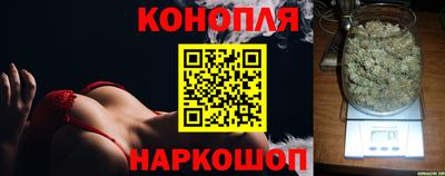 крисы Гудермес