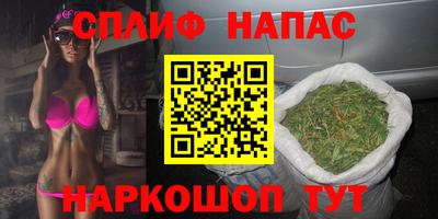 крисы Гудермес
