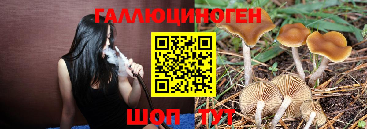 Псилоцибиновые грибы мухоморы  Галлюциногенные грибы прущие грибы  Вход с VPN  Выкса 